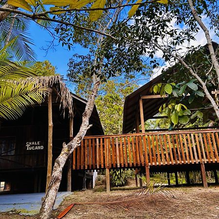Ponta Poranga Jungle Lodge Manaus Bagian luar foto