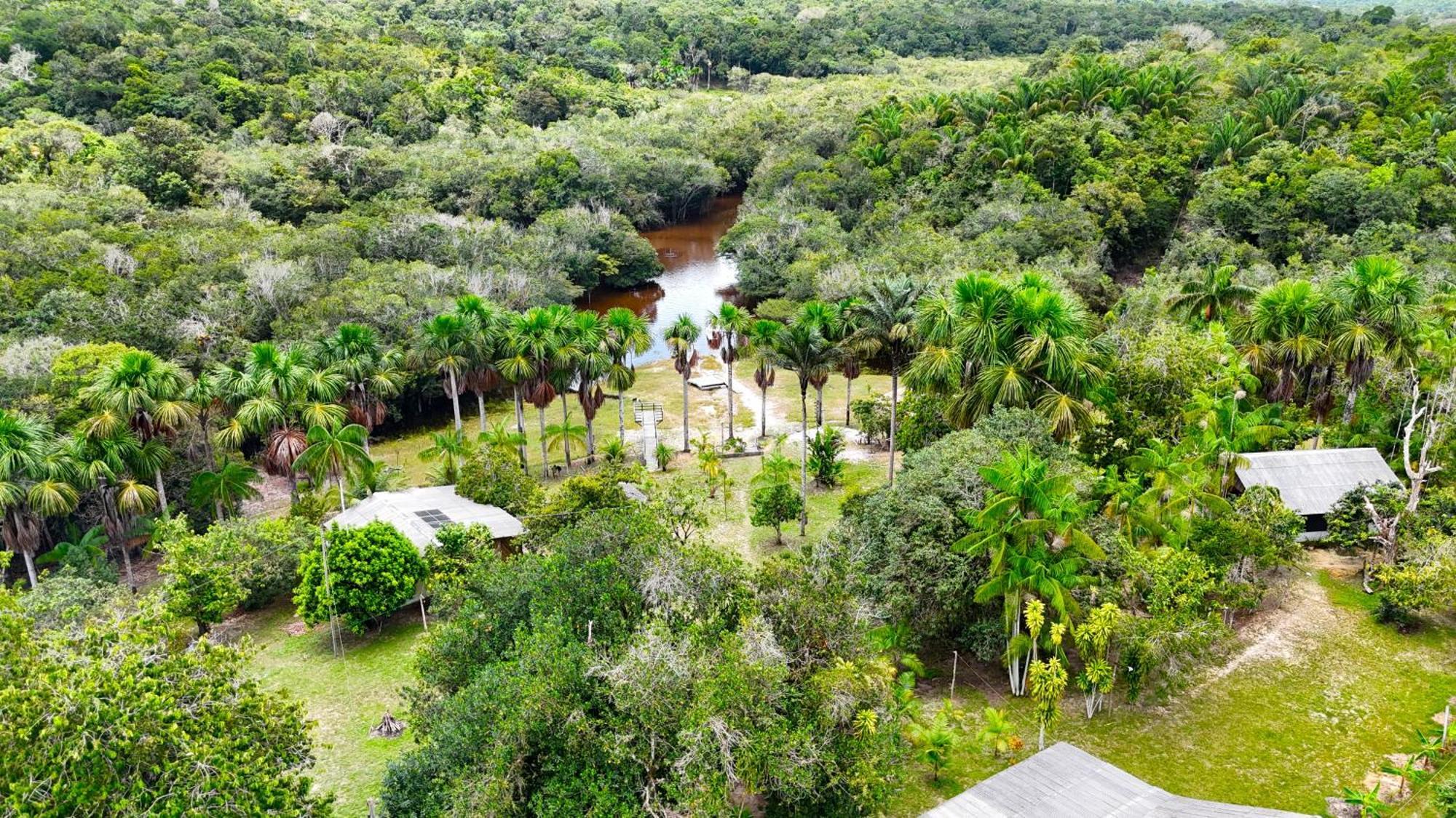 Ponta Poranga Jungle Lodge Manaus Bagian luar foto