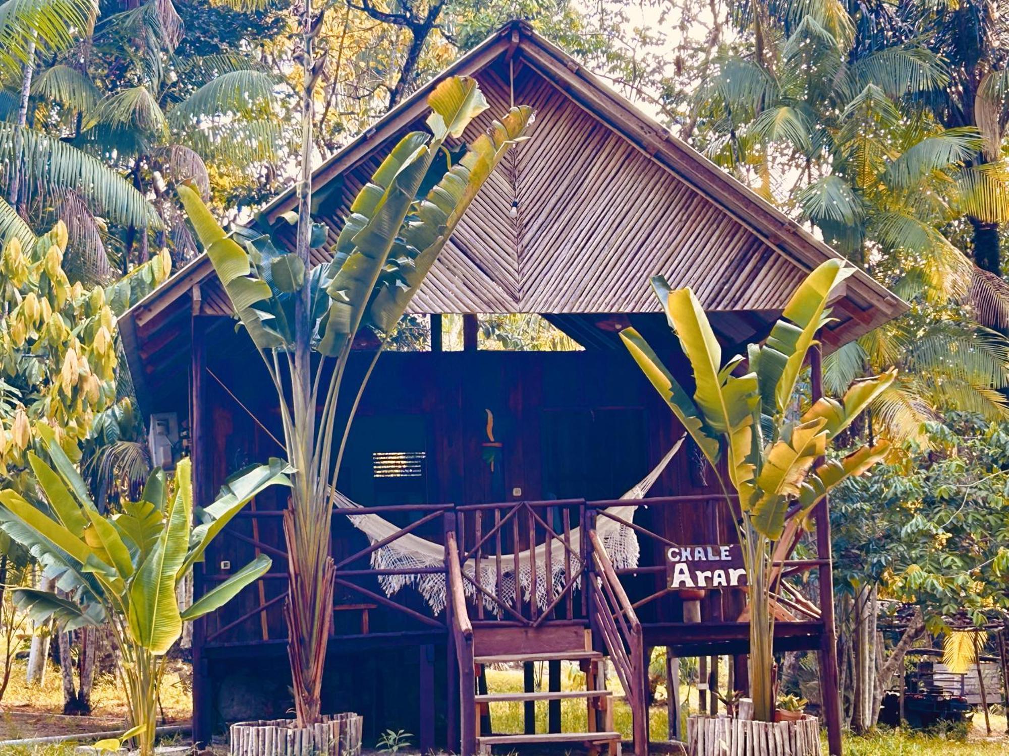 Ponta Poranga Jungle Lodge Manaus Bagian luar foto