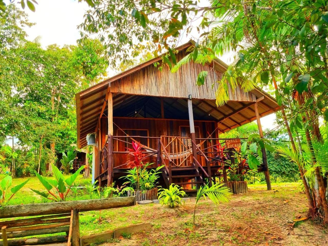 Ponta Poranga Jungle Lodge Manaus Bagian luar foto