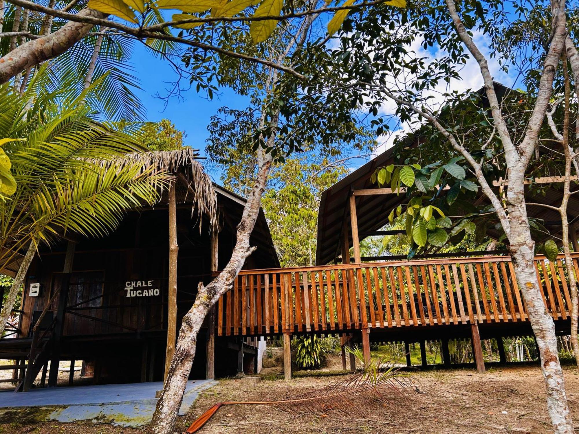 Ponta Poranga Jungle Lodge Manaus Bagian luar foto